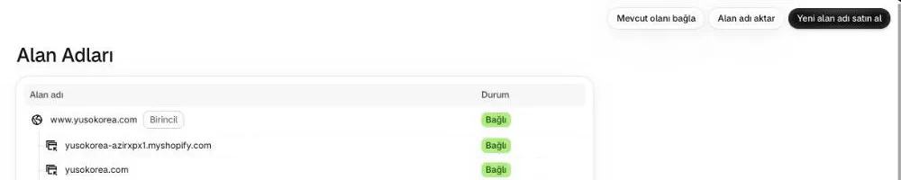 Yönetim panelinde birincil alan adı ve bağlı adreslerin listelendiği alan adları ekranı
